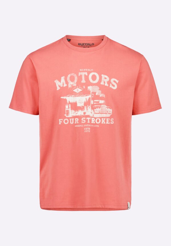 Trokes Men's Graphic T-Shirt with Motors Print. Mineral Red - BM24638