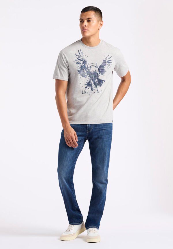 Teagle Men's Graphic T-Shirt with Eagle Print. Heather Grey - BM24647