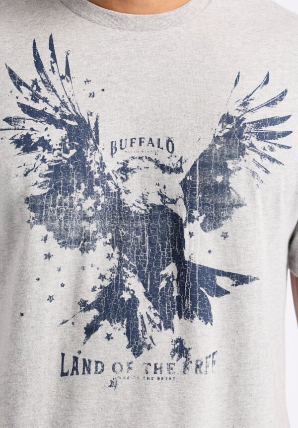 Teagle Men's Graphic T-Shirt with Eagle Print. Heather Grey - BM24647