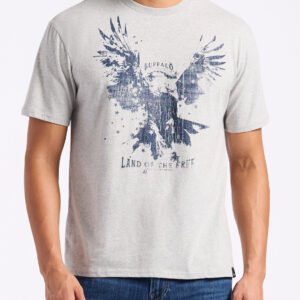 Teagle Men's Graphic T-Shirt with Eagle Print. Heather Grey - BM24647