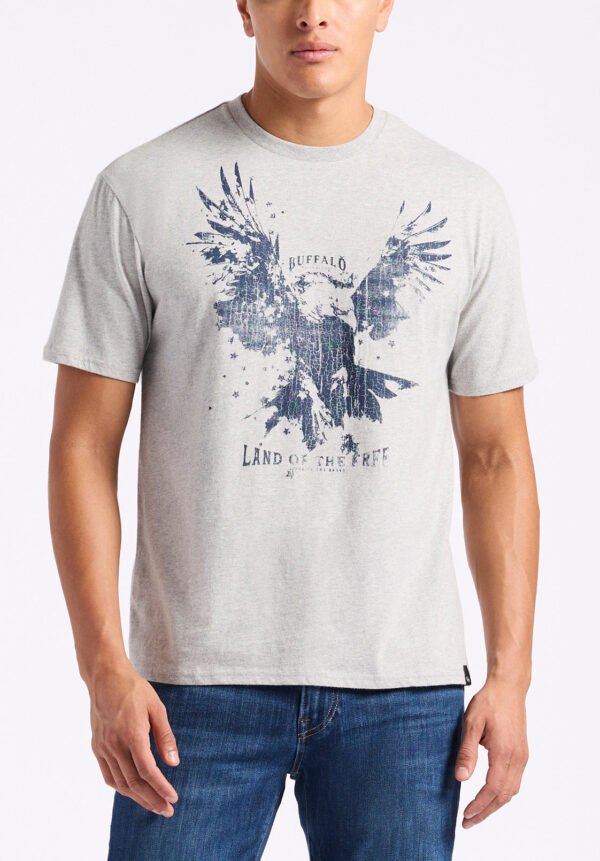 Teagle Men's Graphic T-Shirt with Eagle Print. Heather Grey - BM24647